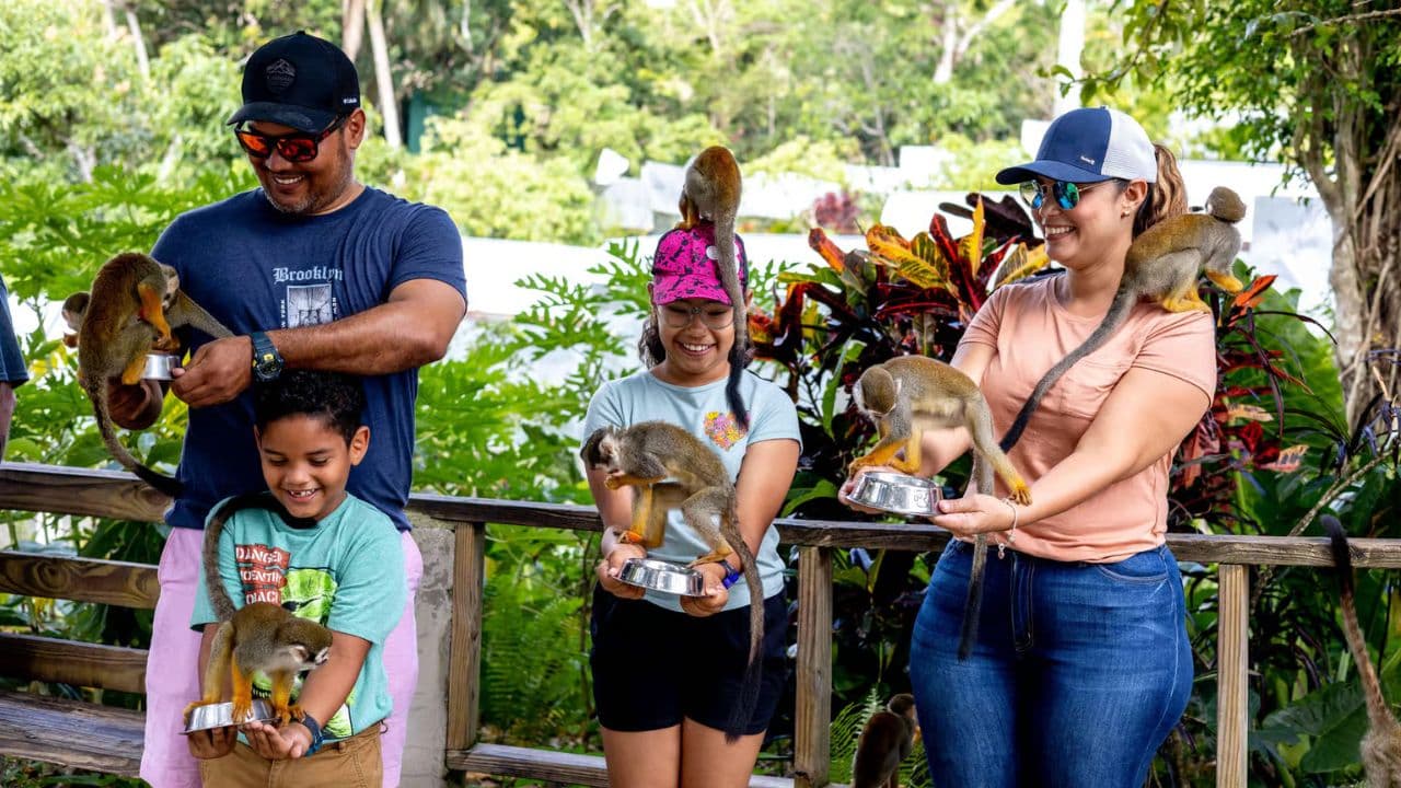 Punta Cana: Reiten durch die wunderschönen Strände — Guided tour and outdoor activity