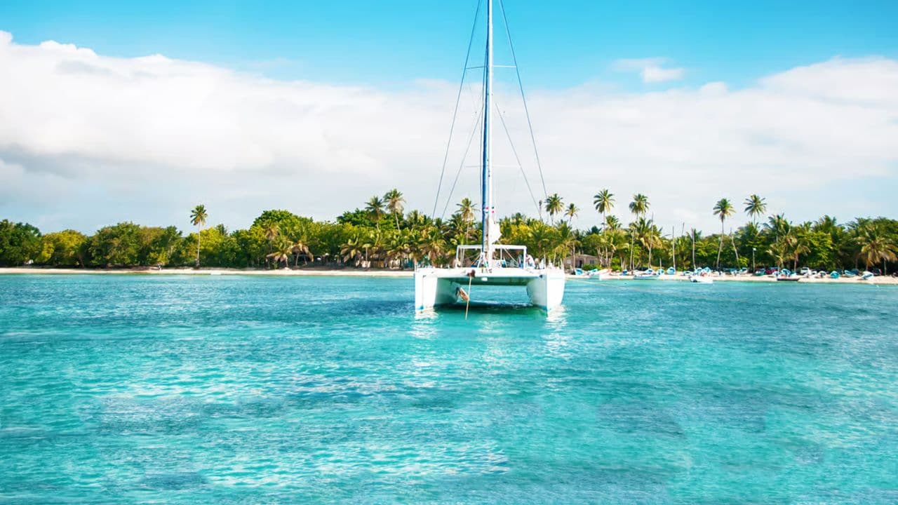 Z Punta Cana: Isla Saona Celodenní prohlídka s obědem formou bufetu — Guided tour and outdoor activity