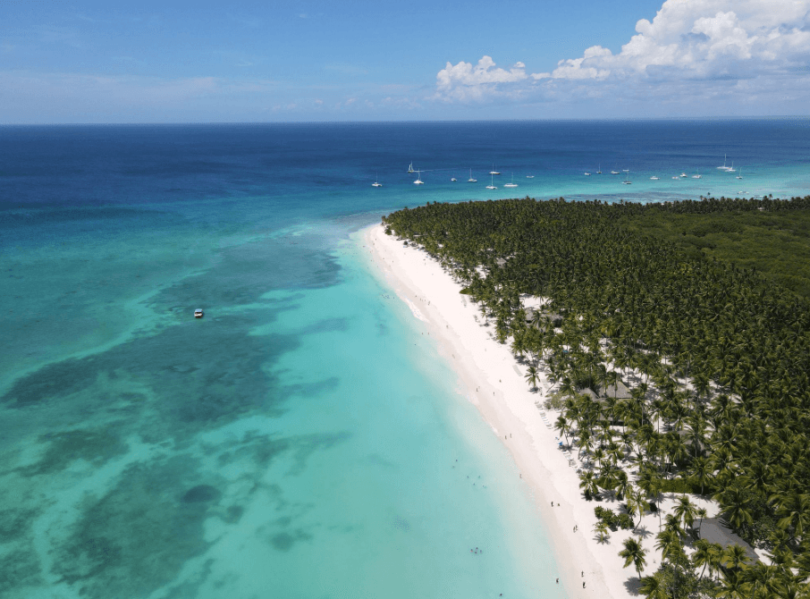 Isola di Saona e Isola Catalina: quale dovresti visitare?