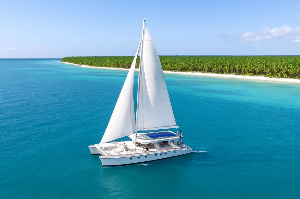 Vale la pena visitare l'isola di Saona? Pro e contro