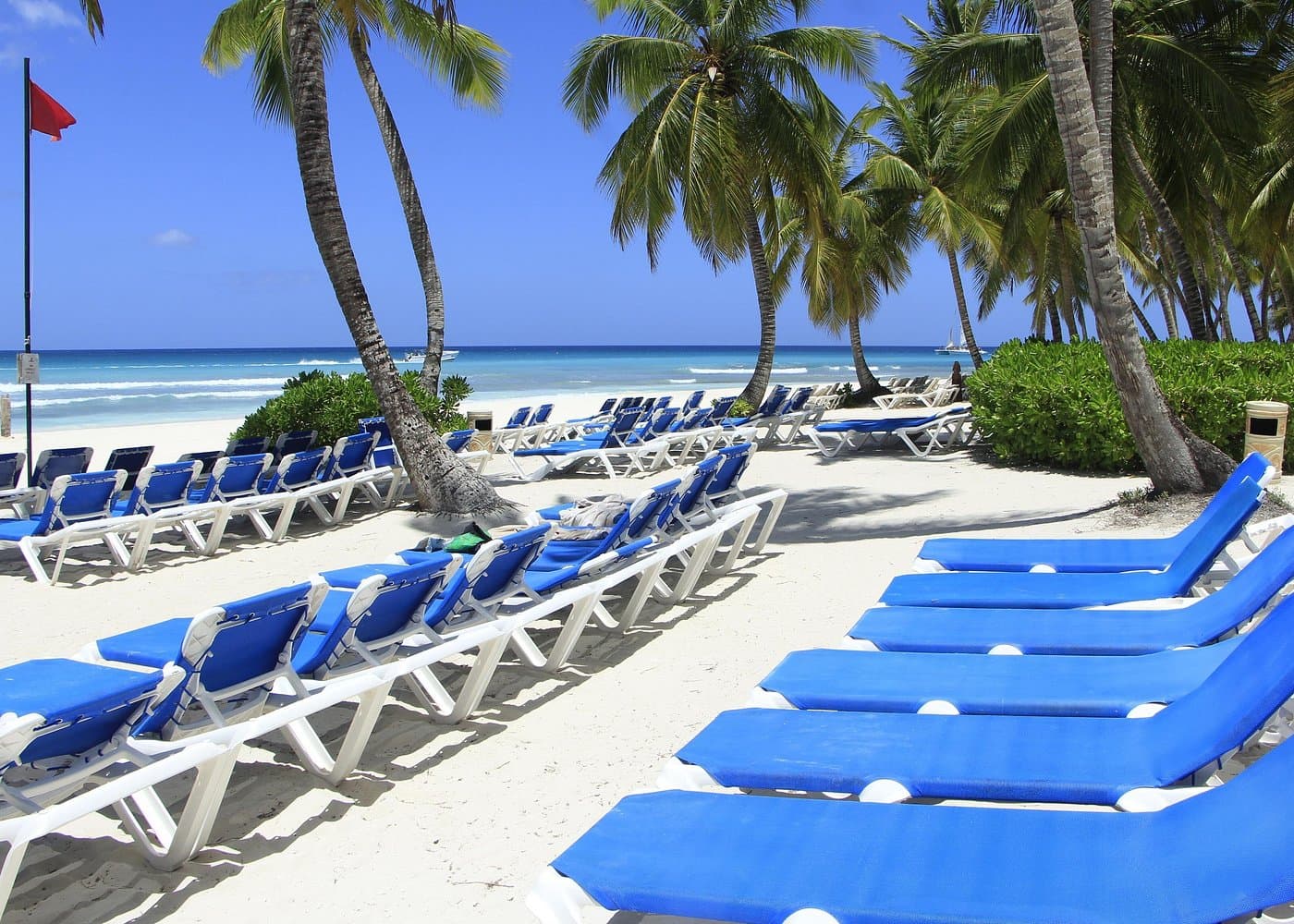 Visite de l'île Saona pour les nouveaux visiteurs : guide complet