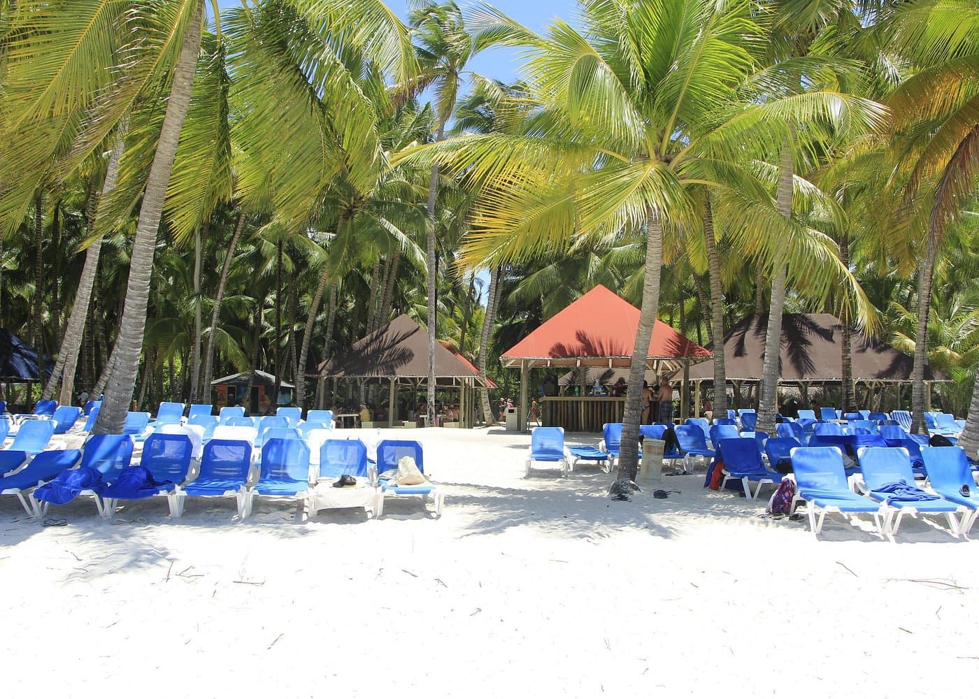 Saona Island Tour ak timoun: Konsèy ak Aktivite pou Fanmi