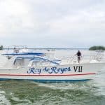 Whale Watching and Cayo Levantado Island Combo Tour — Guided tour and outdoor activity