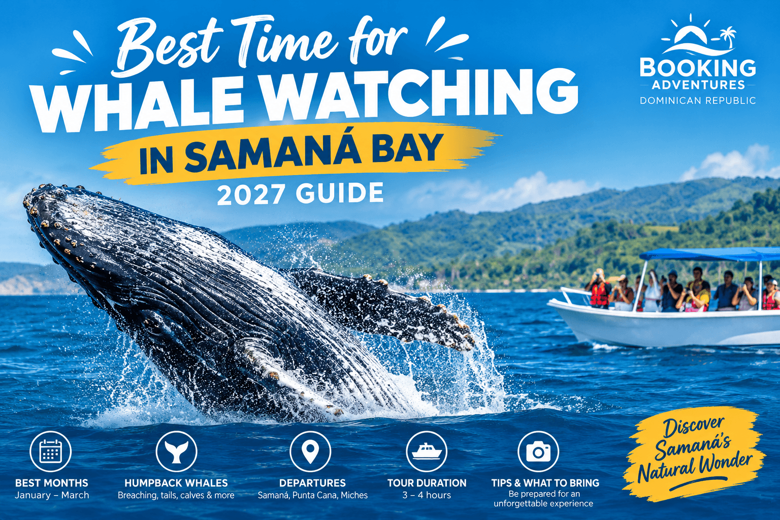 Best Time for Whale Watching in Samaná Bay: 2027 Guide - Haitises Tours Guide