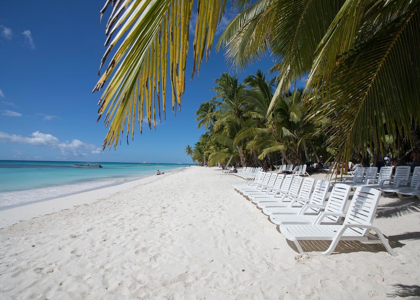 Saona Island Tour Transpò: Transfè ak taksi - Haitises Tours Guide