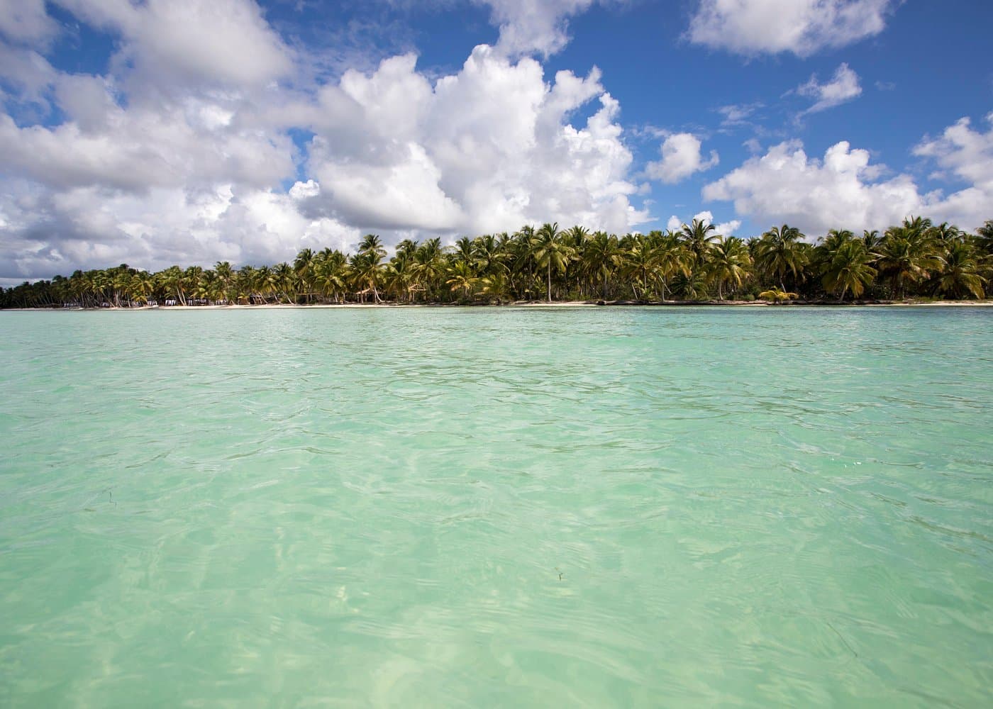 Як вибрати туроператора острова Саона - Haitises Tours Guide